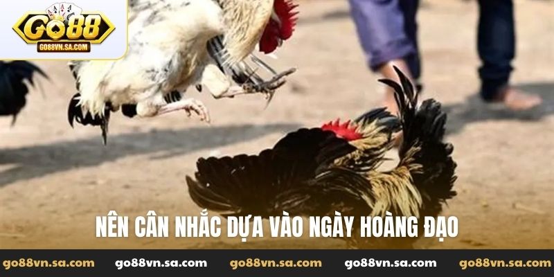 Nên cân nhắc dựa vào ngày hoàng đạo